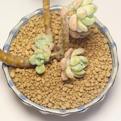 6lb Hard Akadama Bonsai Soil 3-6mm Small Grain for Cactus, Succulents, Bonsai Plants Soil Amendment, Prevent Over Water, Provides Optimal Water Retention, Fast Drainage