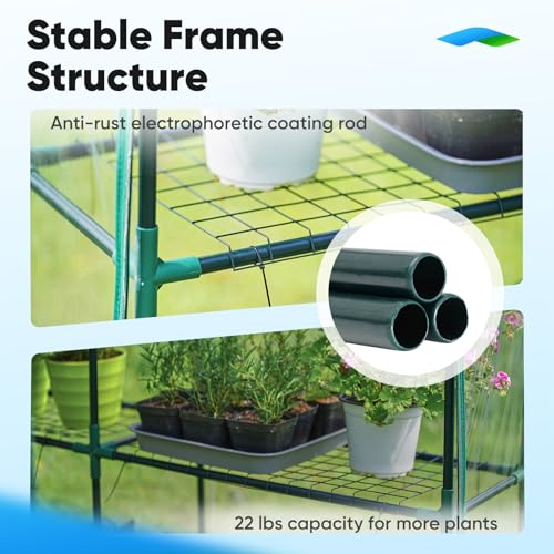 Quictent Greenhouse for Outdoors, Mini Walk-in Portable Flower Garden Plant Kit Outside, Heavy Duty 3 Tiers 8 Shelves Steel Frame & Durable Cover W/ Screen Door & Window, 4.7x4.7x6.4 FT, Clear