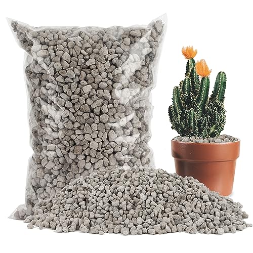 Sukh Horticultural Pumice Stone - Pumice Stone for Plants Succulent Cactus Bonsai Orchid Soil Amendment 410g