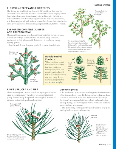 Complete Starter Guide to Bonsai: Growing from Seed or Seedling - Wiring, Pruning, Care, and Display (Creative Homeowner) Beginner-Friendly Details for the Japanese Art of Bonsai Tree Care