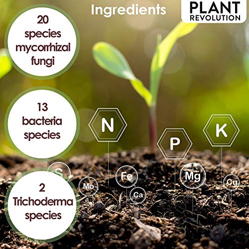 Plant Success Organics Soluble Mycorrhizae 5lb