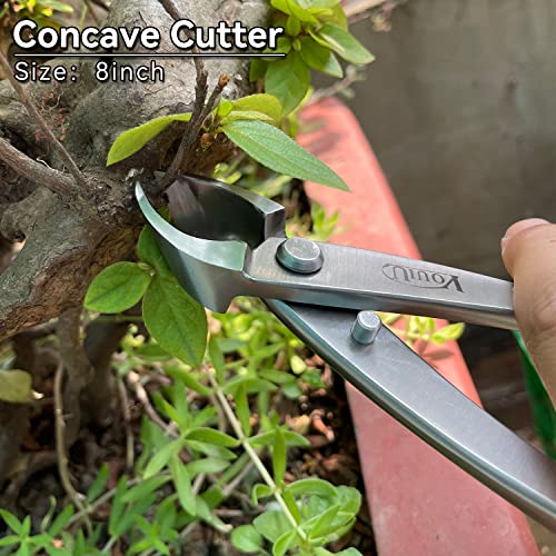 6-Piece Bonsai Tool Set,Concave Cutter,Knob Cutter,Jin Pliers,Wire Cutter,Bonsai Scissors, Bonsai Root Hook