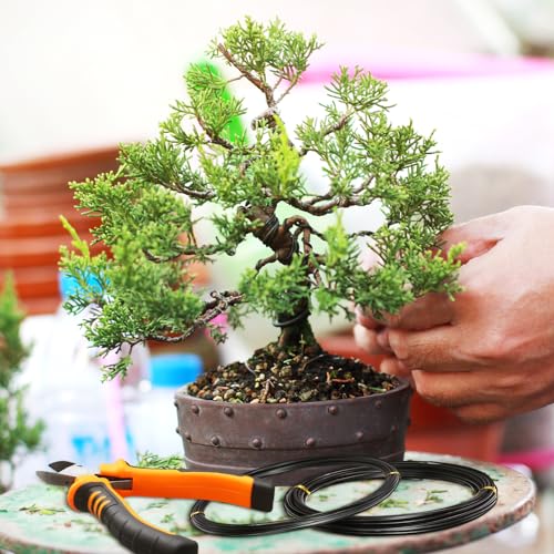 5 Roll Aluminum Bonsai Training Wire Tree 160 Feet Total with Bonsai Wire Cutter Anodized Wire 1/1.5/2.0 mm Training Wire for Holding Bonsai Branches Small Trunks