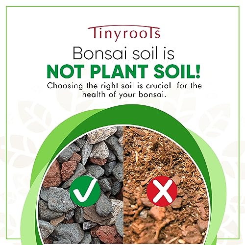 Bonsai Outlet Bonsai Soil Mix - Tinyroots All Purpose Bonsai Soil Mix Ready to Use Blend, Used for All Varieties of Bonsai Trees, 2.5 Gallons