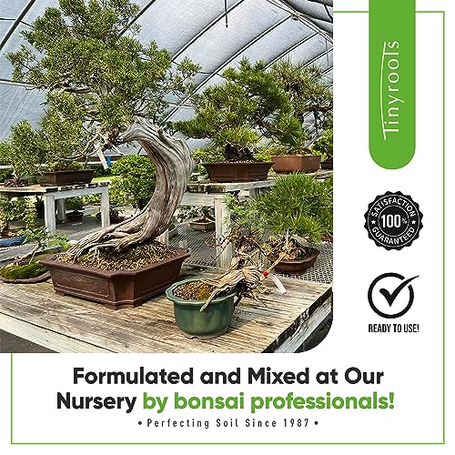 Bonsai Outlet Bonsai Soil Mix - Tinyroots All Purpose Bonsai Soil Mix Ready to Use Blend, Used for All Varieties of Bonsai Trees, 2.5 Gallons