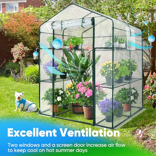 Quictent Greenhouse for Outdoors, Mini Walk-in Portable Flower Garden Plant Kit Outside, Heavy Duty 3 Tiers 8 Shelves Steel Frame & Durable Cover W/ Screen Door & Window, 4.7x4.7x6.4 FT, Clear