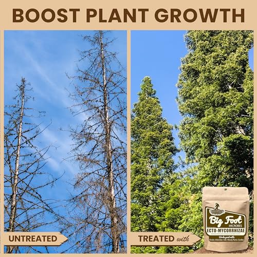 Ecto Mycorrhizae 2 oz Powder