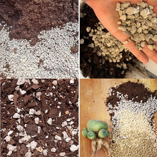 Organic Pumice for Bonsai and Horticultural 100% Natural (2 gallons, 3/8 inch)