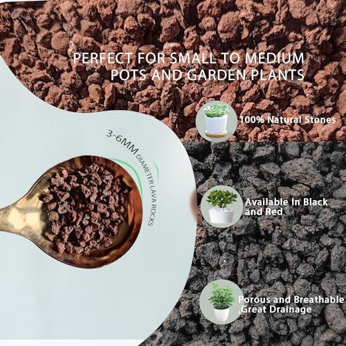 Lava Rocks for Plants, 5lbs Volcanic Stones Gravel Horticultural Drainage Potting Soil for Indoor Outdoor Plants, Succulents, Bonsai, Cactus, Vase Fillers, Top Dressing (5LBS, Black, 1)