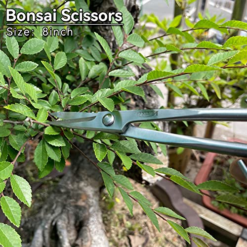 6-Piece Bonsai Tool Set,Concave Cutter,Knob Cutter,Jin Pliers,Wire Cutter,Bonsai Scissors, Bonsai Root Hook