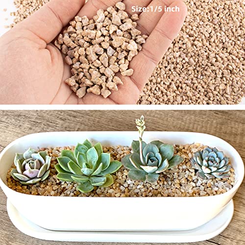 7lb Maifanitum Stones for Succulent Cactus Bonsai Decorative Rocks-Indoor Plants Soil Covers,Horticultural Gravel, Potting Pebbles for Terrarium, Fairy Gardening, Top Dressing