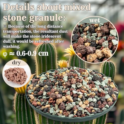 Sukh 2LBS Horticultural Succulent Rocks Bonsai Mix Succulent Potting Mix Lava Rocks Cactus Soil Potting Mix Amendment.