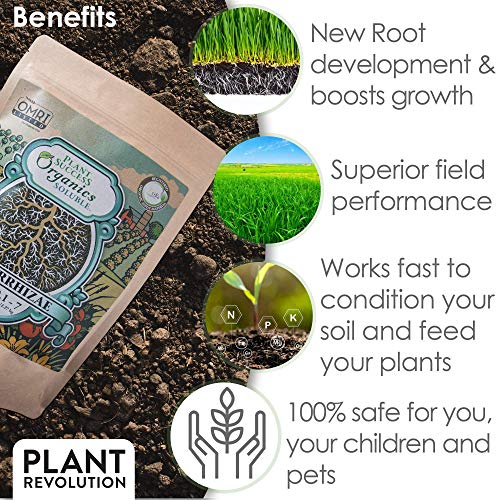 Plant Success Organics Soluble Mycorrhizae 5lb