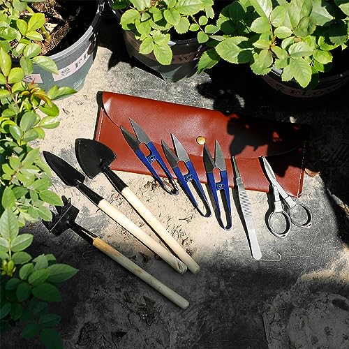 Bonsai Set 8 Pcs - Include Pruner,Fold Scissors,Mini Rake,Bud & Leaf Trimmer Set by ZELAR Made