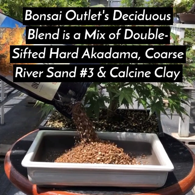 Deciduous Bonsai Soil Blend Mix - 2 Quarts, Organic Bonsai Soil Mix Formulated for Japanese Maple, Hornbeam, Elm, and Other Deciduous Bonsai Trees