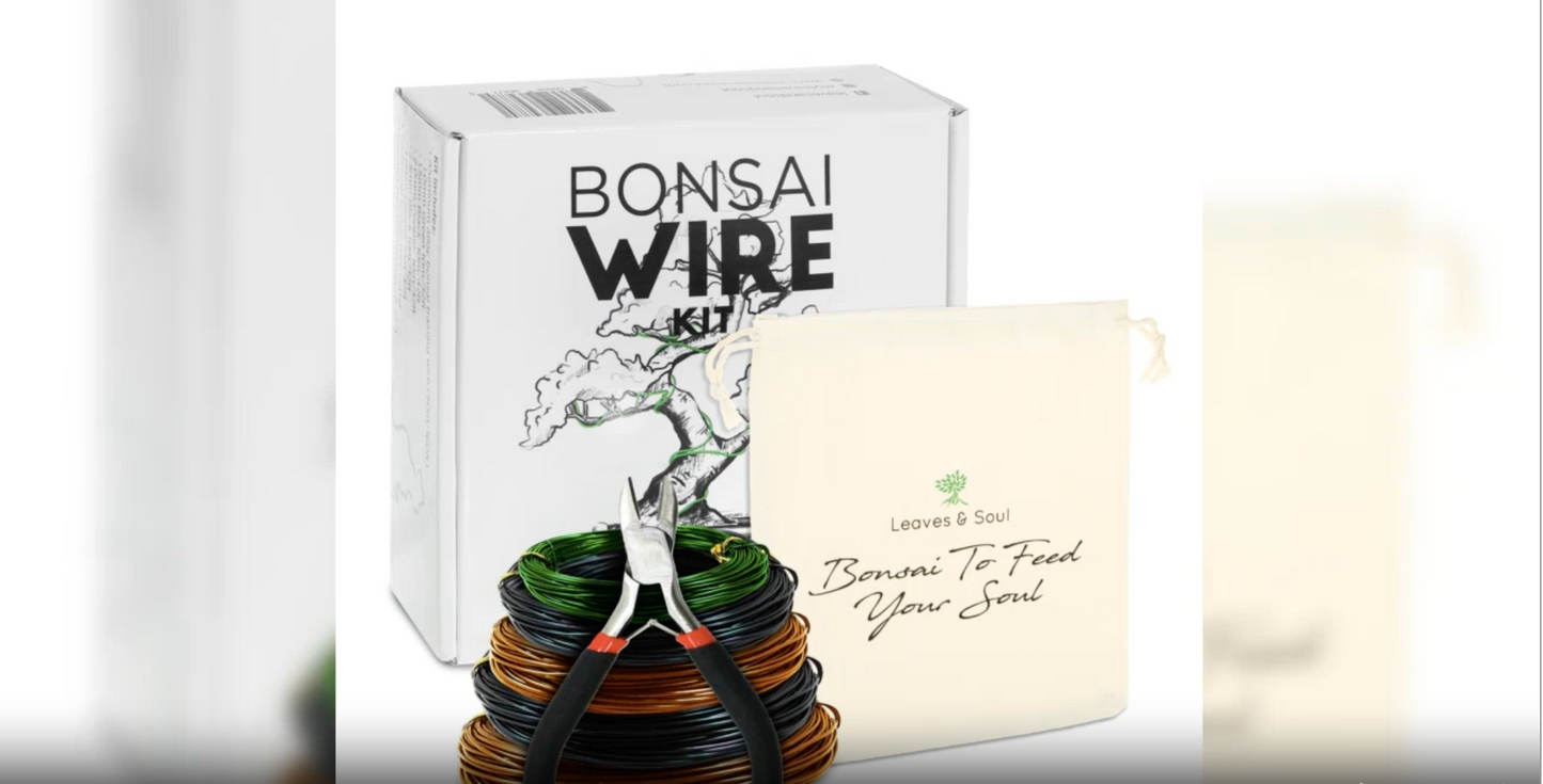 Leaves and Soul Tree Training Wire Kit - 5 Rolls (160ft) Aluminum Alloy Bonsai Plant Training Wire | Wire Cutter | Canvas Storage Bag - Bonsai Accessories for Beginners & Professionals