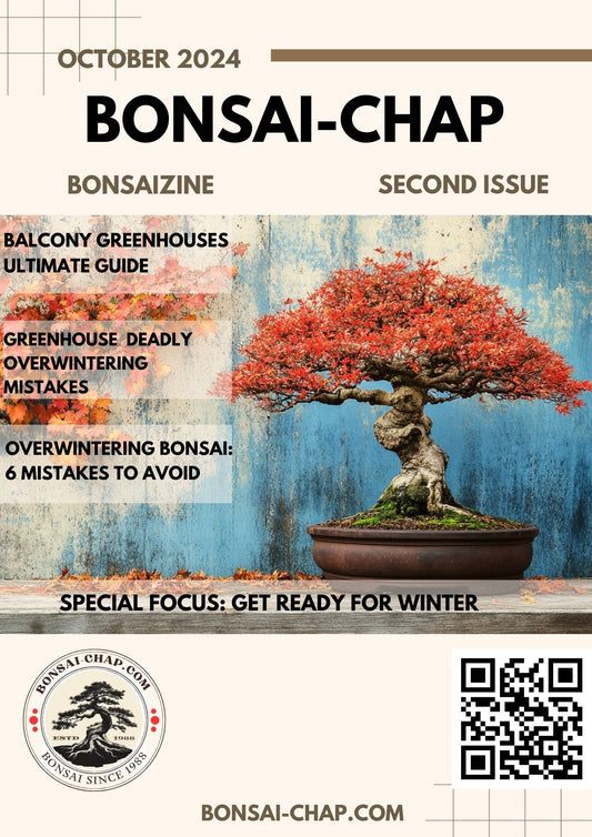 Bonsaichap free digital magazine October 2024 special overwintering