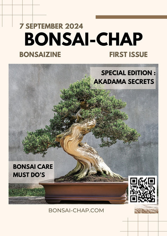 Bonsaichap free digital magazine 07 sept 2024 special akadama